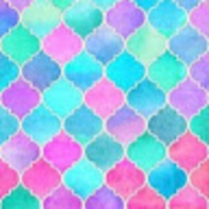 Meet your Posher, Ella